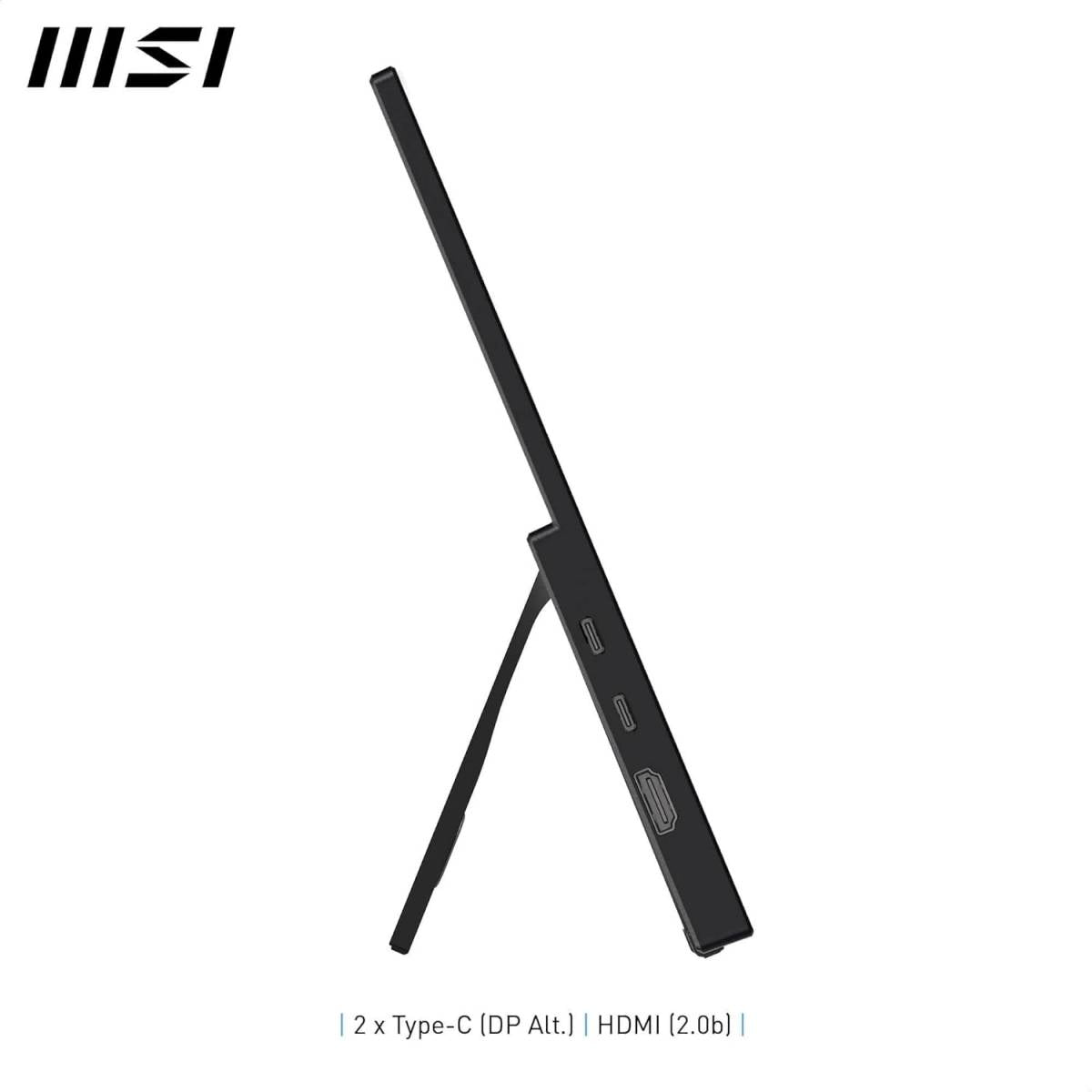 MSI PRO MP165 E6 15.6-Inch FHD Portable Monitor, 60Hz,4ms,Eye care, Built-in speaker