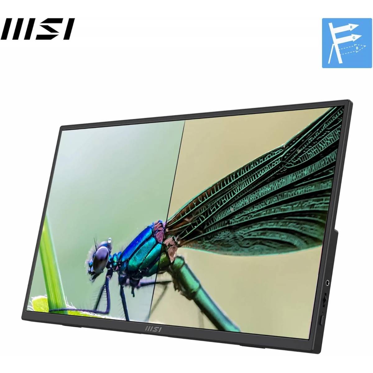 MSI PRO MP165 E6 15.6-Inch FHD Portable Monitor, 60Hz,4ms,Eye care, Built-in speaker