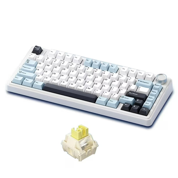 FREEWOLF F75 75% Mechanical Keyboard Wireless RGB Arabic and English Layout