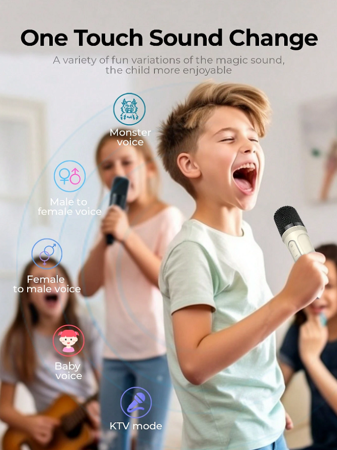 HAVIT  Wireless Speaker SK819BT Mini Portable Karaoke Bluetooth Microphone (AUX, USB)